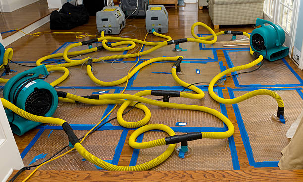 Professional Flood Damage Restoration technician working in Lynnville, IA
